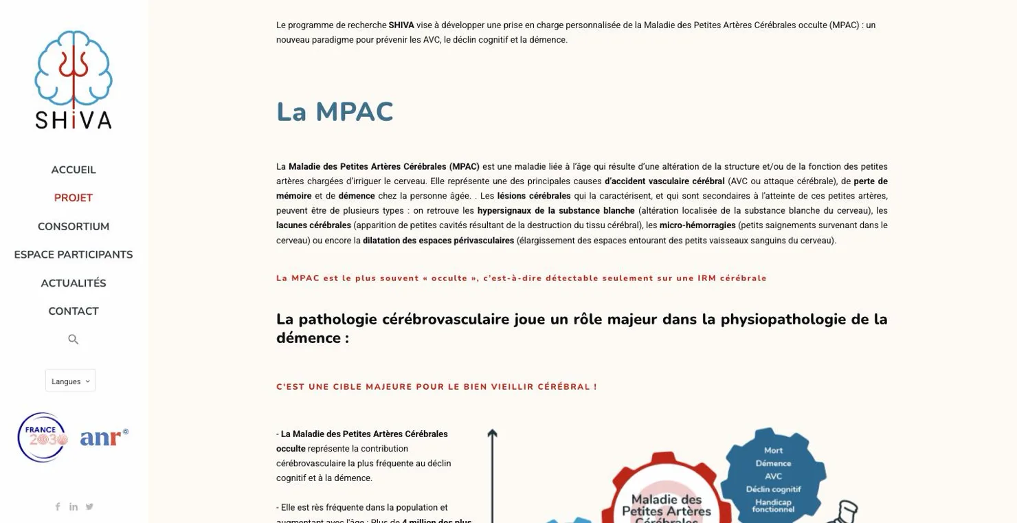 Page projet de SHIVA, explication de la maladie des petites artères cérébrales